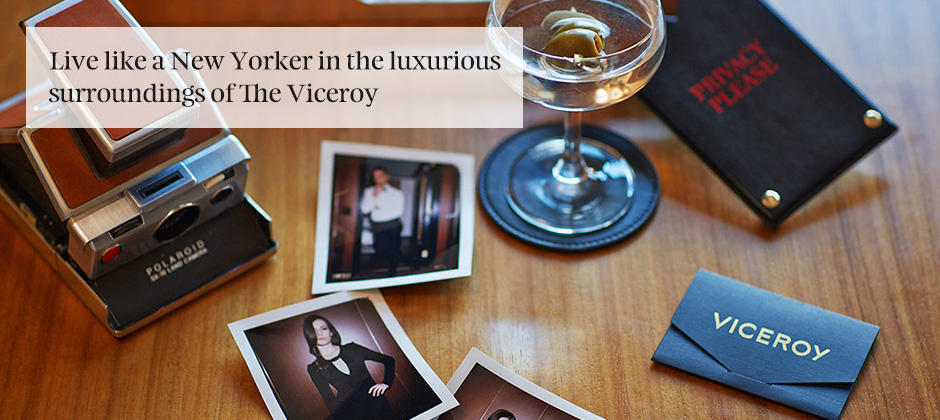 Spotlight on The Viceroy